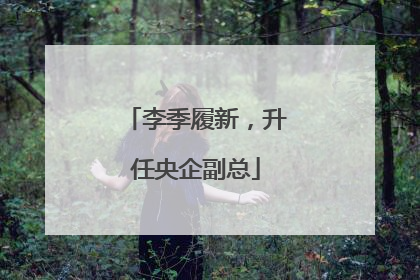李季履新，升任央企副总