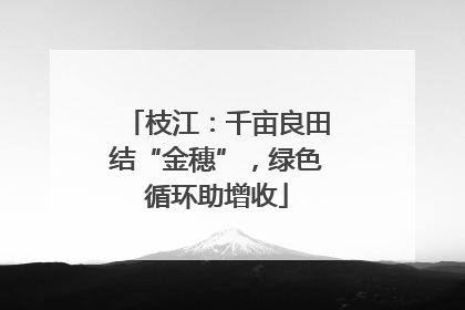 枝江：千亩良田结“金穗”，绿色循环助增收