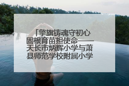 擎旗铸魂守初心 固根育苗担使命——天长市炳辉小学与萧县师范学校附属小学结对共建活动纪实