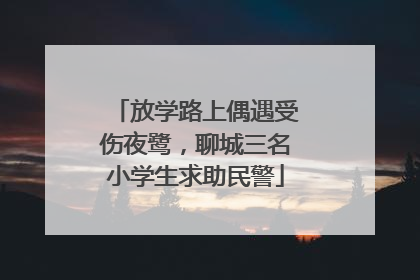 放学路上偶遇受伤夜鹭，聊城三名小学生求助民警