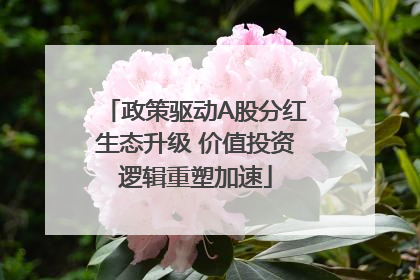 政策驱动A股分红生态升级 价值投资逻辑重塑加速
