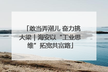 敢当弄潮儿 奋力挑大梁｜海安以“工业思维”拓宽共富路
