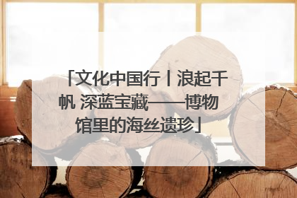 文化中国行丨浪起千帆 深蓝宝藏——博物馆里的海丝遗珍