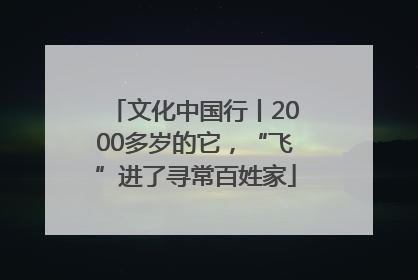 文化中国行丨2000多岁的它，“飞”进了寻常百姓家