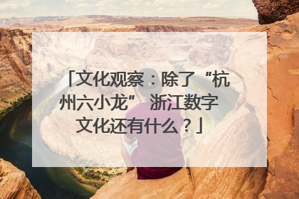 文化观察：除了“杭州六小龙” 浙江数字文化还有什么？