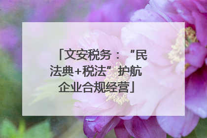 文安税务：“民法典+税法”护航企业合规经营