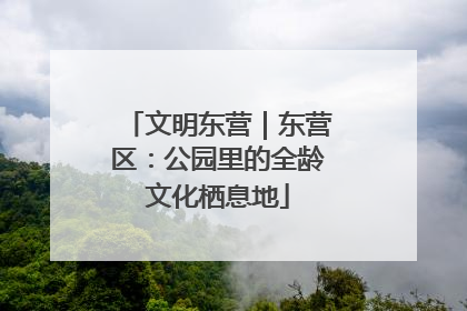 文明东营｜东营区：公园里的全龄文化栖息地