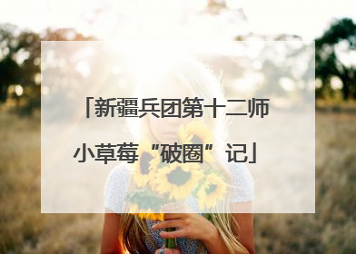 新疆兵团第十二师小草莓“破圈”记
