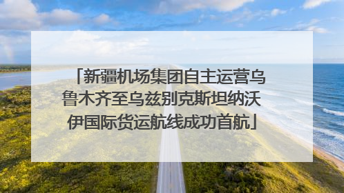 新疆机场集团自主运营乌鲁木齐至乌兹别克斯坦纳沃伊国际货运航线成功首航