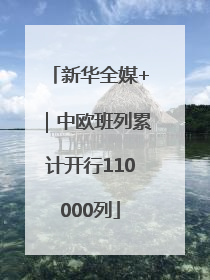 新华全媒+｜中欧班列累计开行110000列