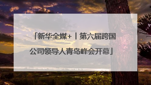 新华全媒+丨第六届跨国公司领导人青岛峰会开幕