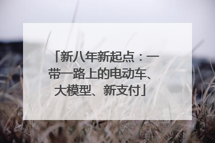 新八年新起点：一带一路上的电动车、大模型、新支付