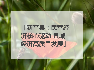 新平县：民营经济核心驱动 县域经济高质量发展