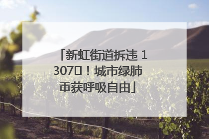新虹街道拆违 1307㎡！城市绿肺重获呼吸自由