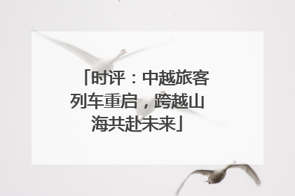 时评：中越旅客列车重启，跨越山海共赴未来