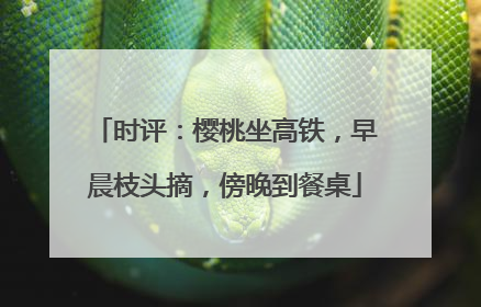 时评：樱桃坐高铁，早晨枝头摘，傍晚到餐桌