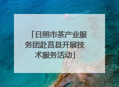 日照市茶产业服务团赴莒县开展技术服务活动