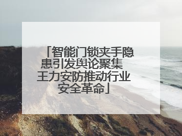 智能门锁夹手隐患引发舆论聚集 王力安防推动行业安全革命