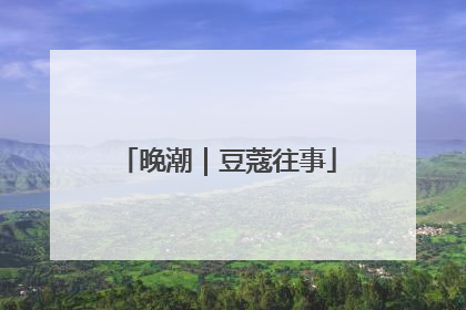 晚潮｜豆蔻往事
