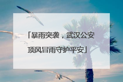 暴雨突袭，武汉公安顶风冒雨守护平安