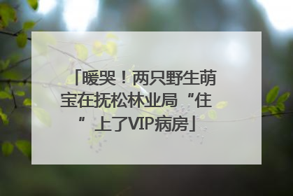 暖哭！两只野生萌宝在抚松林业局“住”上了VIP病房