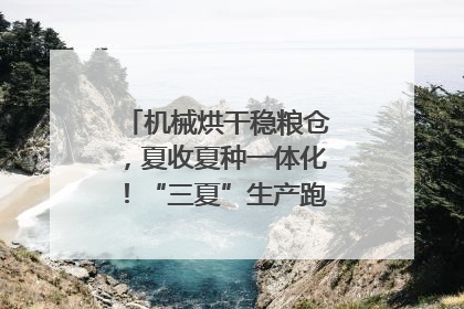 机械烘干稳粮仓，夏收夏种一体化！“三夏”生产跑出加速度｜麦报