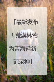 最新发布！荒漠林莺为青海省新记录种
