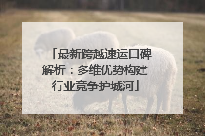 最新跨越速运口碑解析：多维优势构建行业竞争护城河