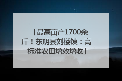 最高亩产1700余斤！东明县刘楼镇：高标准农田增效增收