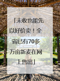 未收也能先以好价卖！全省已有70多万亩新麦在网上售出