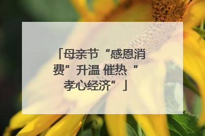 母亲节“感恩消费”升温 催热“孝心经济”
