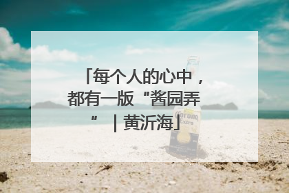 每个人的心中，都有一版“酱园弄”｜黄沂海