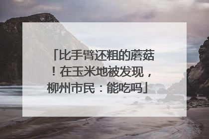 比手臂还粗的蘑菇！在玉米地被发现，柳州市民：能吃吗