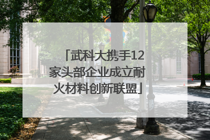 武科大携手12家头部企业成立耐火材料创新联盟
