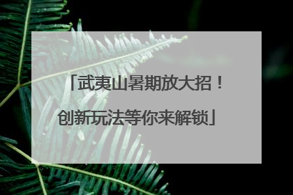 武夷山暑期放大招！创新玩法等你来解锁