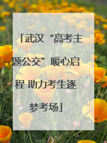武汉“高考主题公交”暖心启程 助力考生逐梦考场