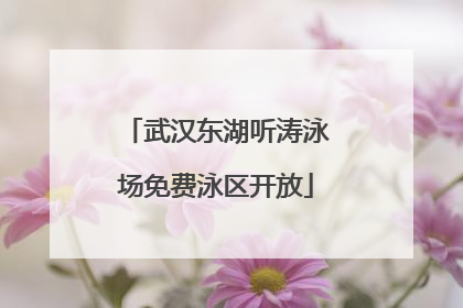 武汉东湖听涛泳场免费泳区开放