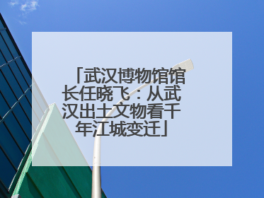 武汉博物馆馆长任晓飞：从武汉出土文物看千年江城变迁