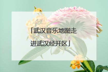 武汉音乐地图走进武汉经开区
