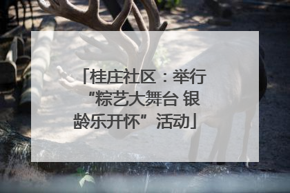 桂庄社区：举行“粽艺大舞台 银龄乐开怀”活动