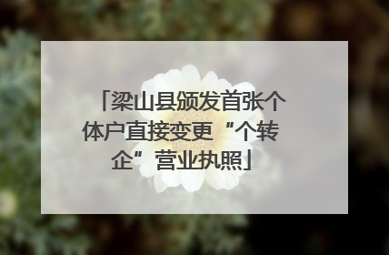 梁山县颁发首张个体户直接变更“个转企”营业执照