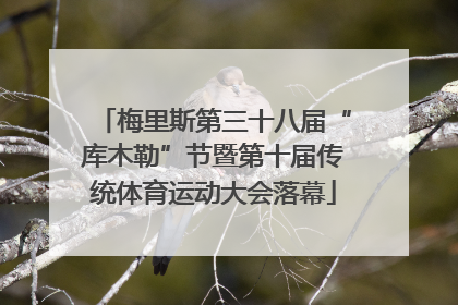 梅里斯第三十八届“库木勒”节暨第十届传统体育运动大会落幕