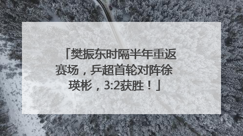 樊振东时隔半年重返赛场，乒超首轮对阵徐瑛彬，3:2获胜！
