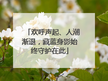 欢呼声起、人潮渐退，藏蓝身影始终守护在此