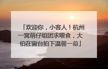 欢迎你，小客人！杭州一窝萌仔组团求喂食，大伯在窗台拍下温馨一幕