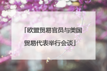 欧盟贸易官员与美国贸易代表举行会谈