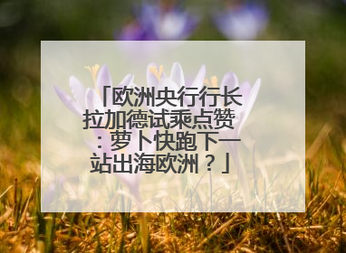 欧洲央行行长拉加德试乘点赞：萝卜快跑下一站出海欧洲？