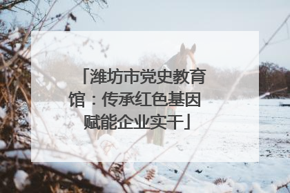 潍坊市党史教育馆：传承红色基因 赋能企业实干