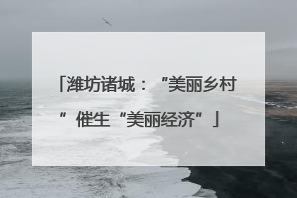 潍坊诸城：“美丽乡村”催生“美丽经济”