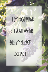 潍坊诸城：瓜甜葱郁处 产业好风光